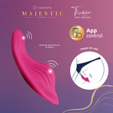 VIBRADOR PARA PANTY APP